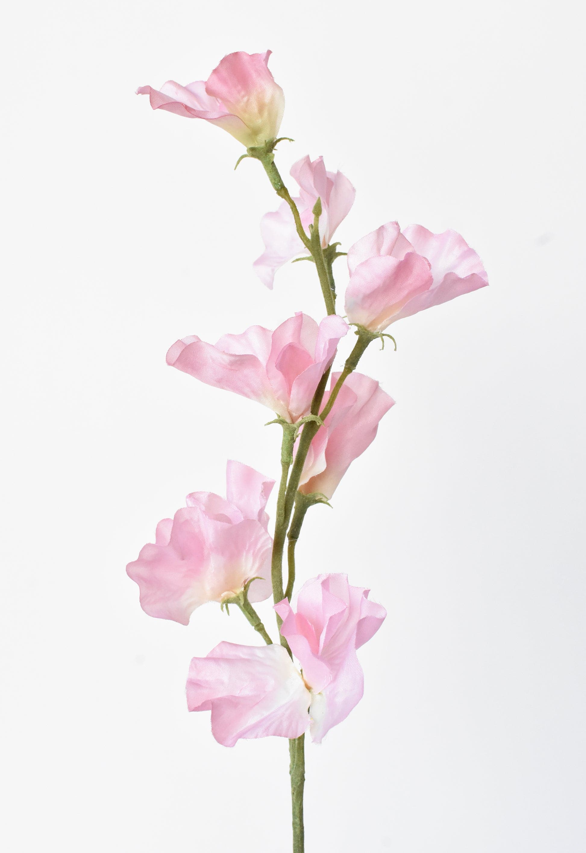 22" Faux Light Pink Sweet Pea Stem