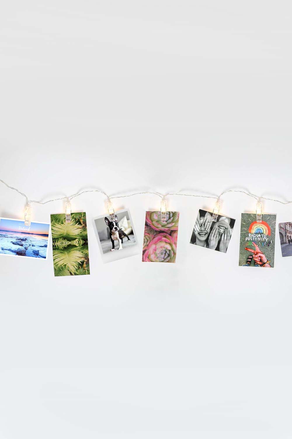 40 LED Large Photo Clip Clear Cable Lights - Plug in